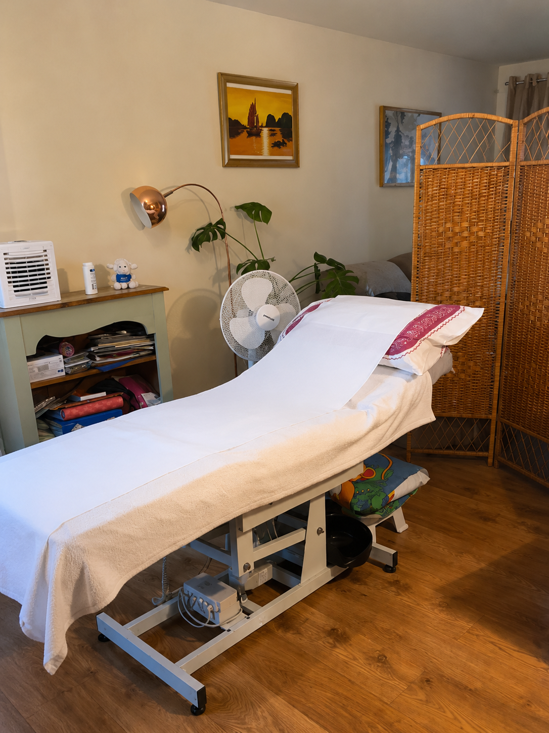 Fiona's treatment room